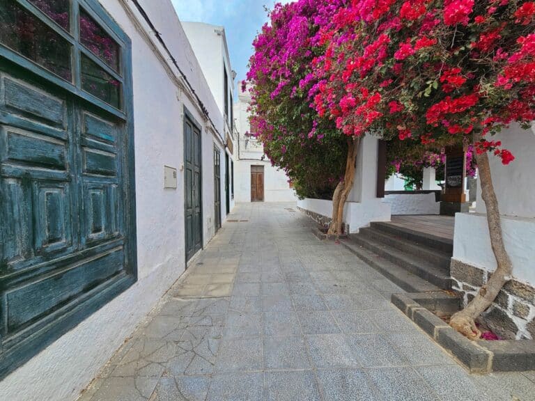 ruelle fleurie dans haria