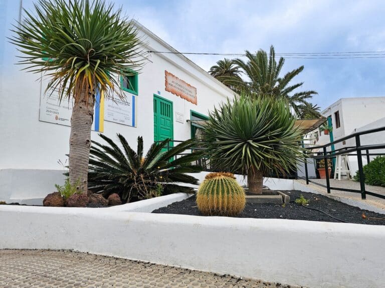 plantes pr&egrave;s de la boutique et atelier d'artisanat municipal de Haria