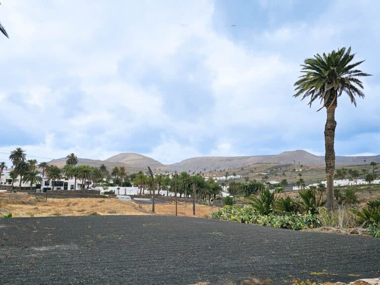 la vall&eacute;e des palmiers de haria